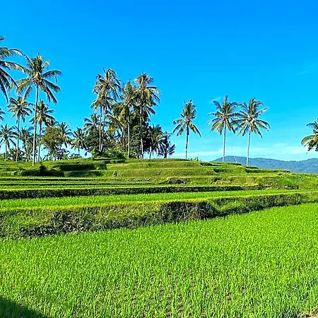 Mayong Bali Villa And Hostel