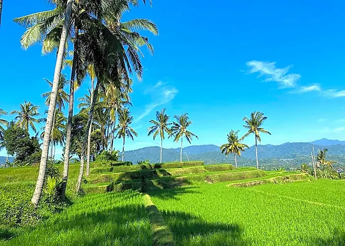 Hostal Mayong Bali And Busung Biu
